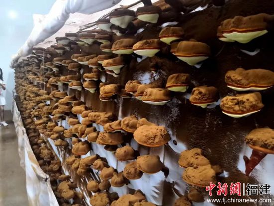 微信图片_20220714095110.jpg