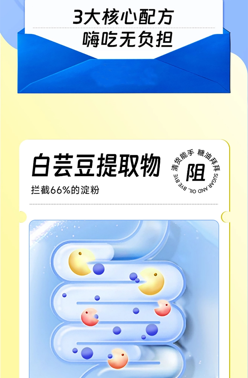 白芸豆详_03.png
